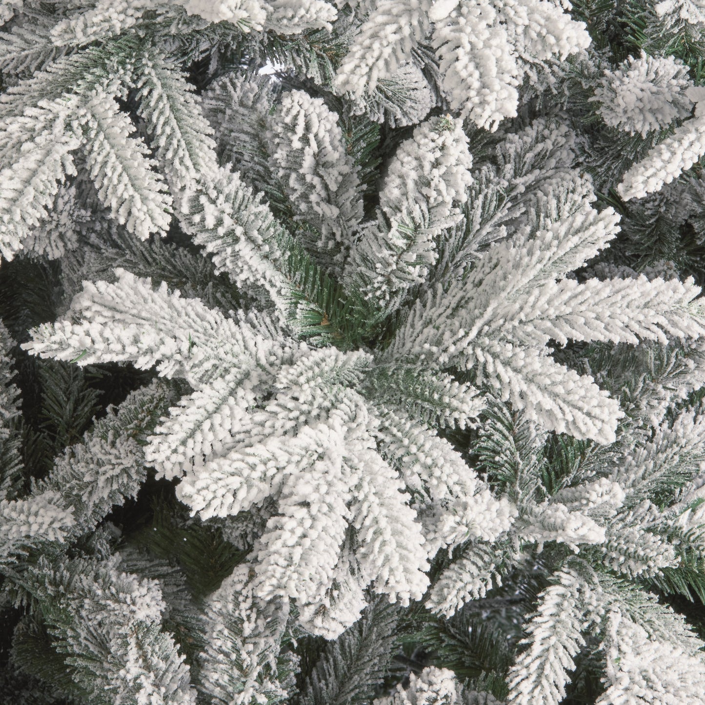 6.5FT Snowy Harmony Spruce - National Tree Company | AT105
