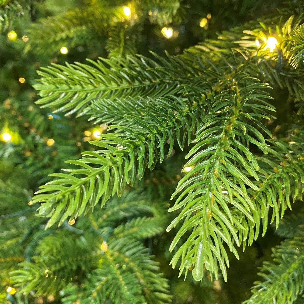 7ft Nordmann Fir Pre-Lit - Kaemingk Everlands Christmas Tree | AT29