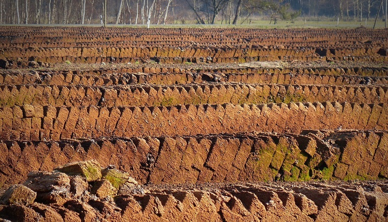 Benefits of planting with peat-free