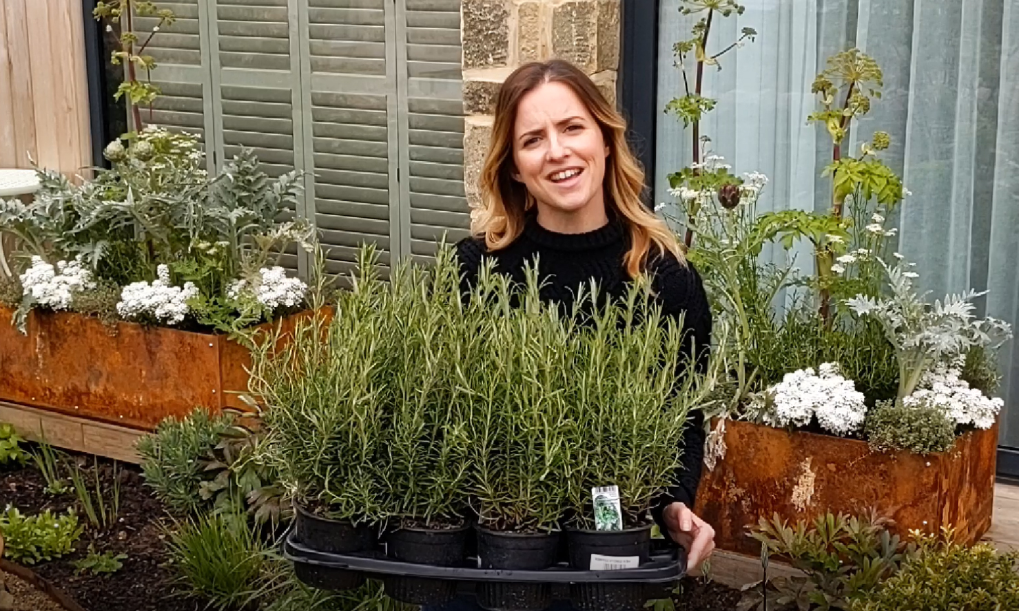 We helped Katie Rushworth to create a lockdown tv garden