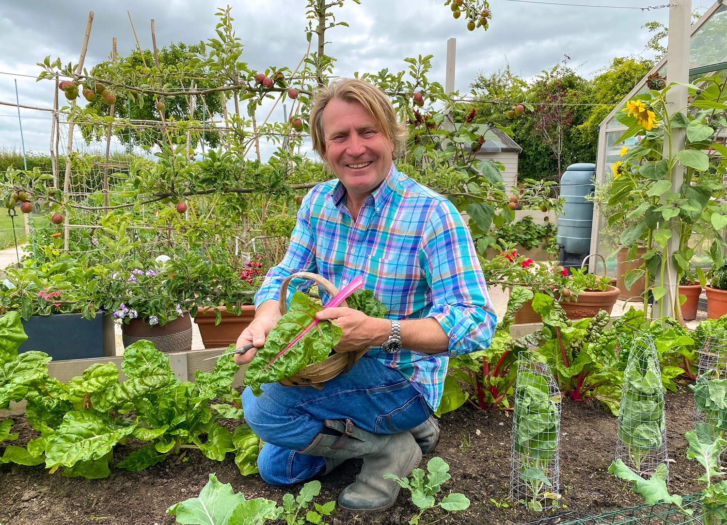 David Domoney - Gardening Masterclass