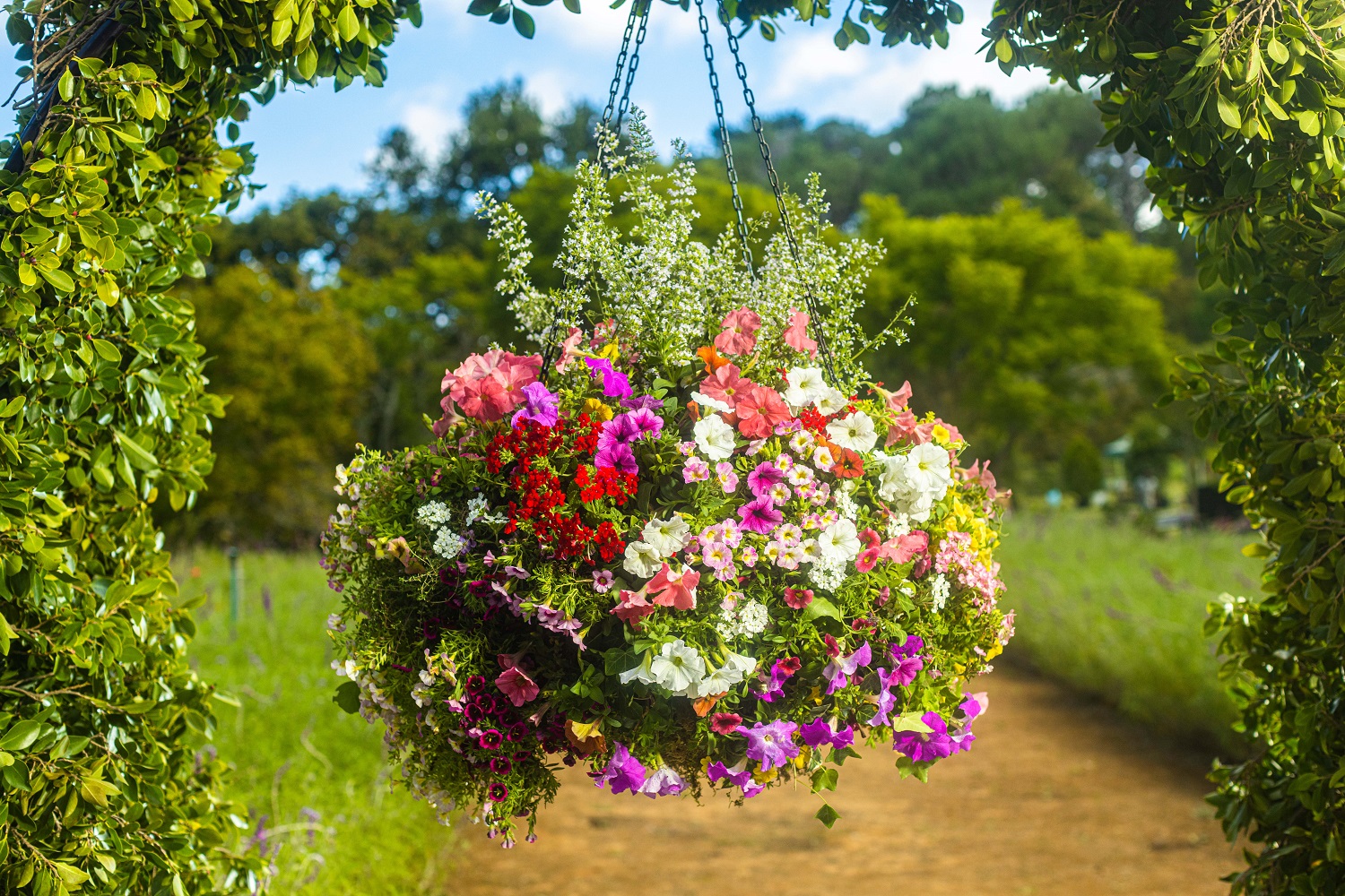 How to keep your baskets beautiful!
