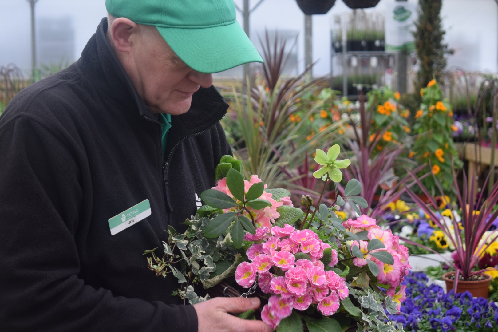 Plant the Perfect Autumn Basket with Joe