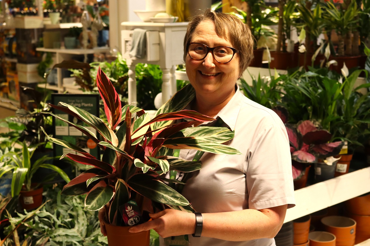 Our top five tips for your winter houseplants!