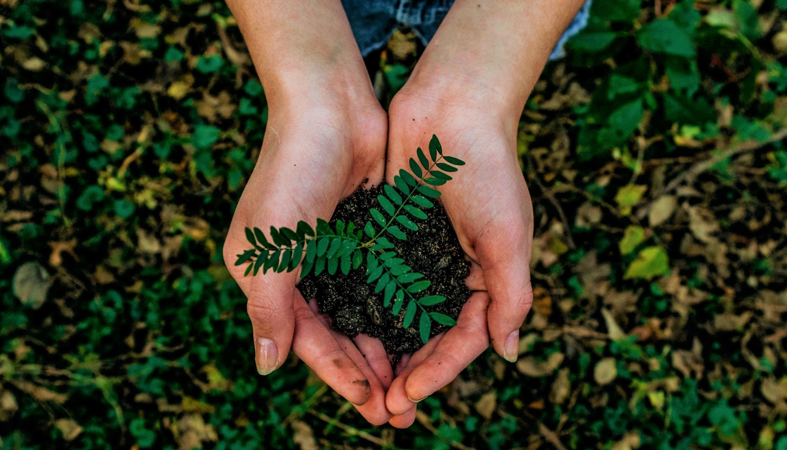 World Earth Day