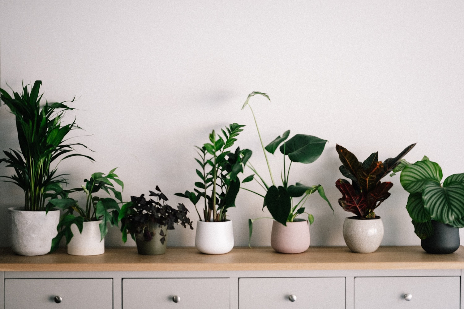 Give your pots an update!
