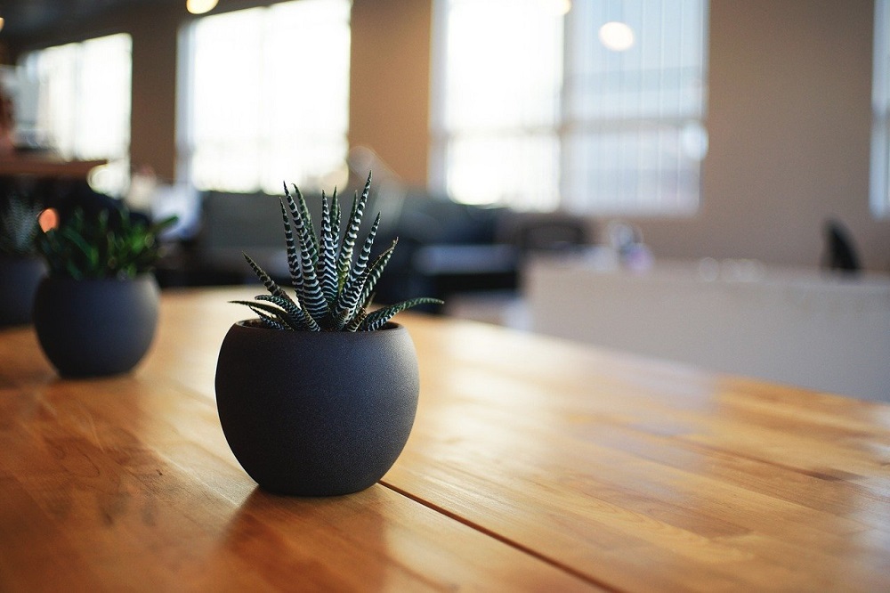 7 ways to freshen up your home