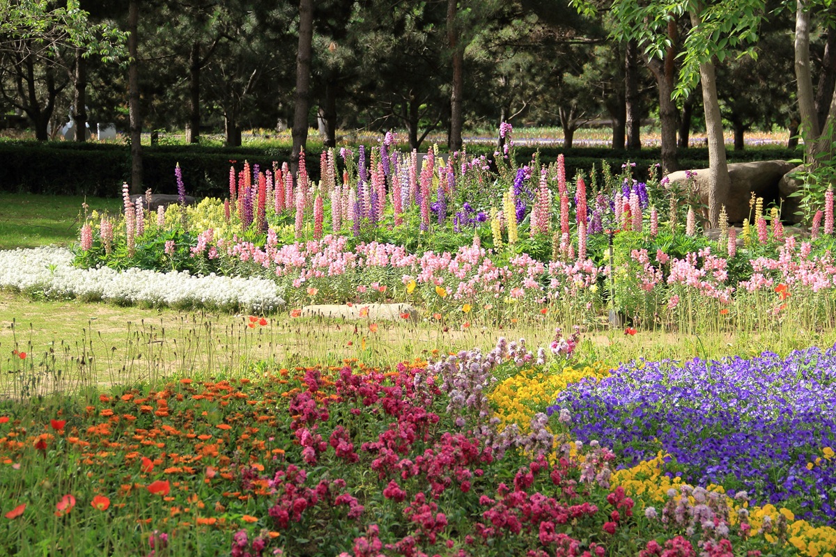Planting themes for your garden