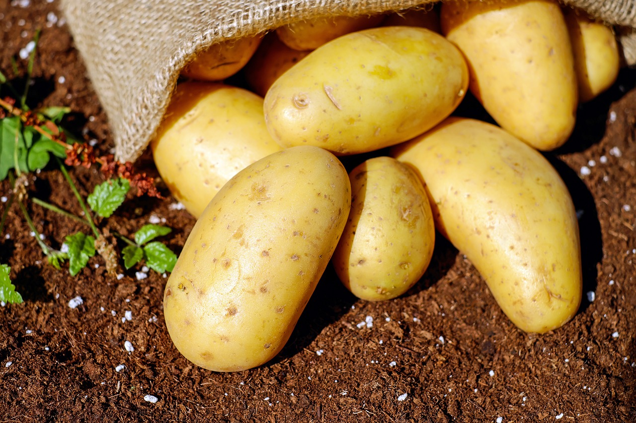 Grow Your Own Festive Treats