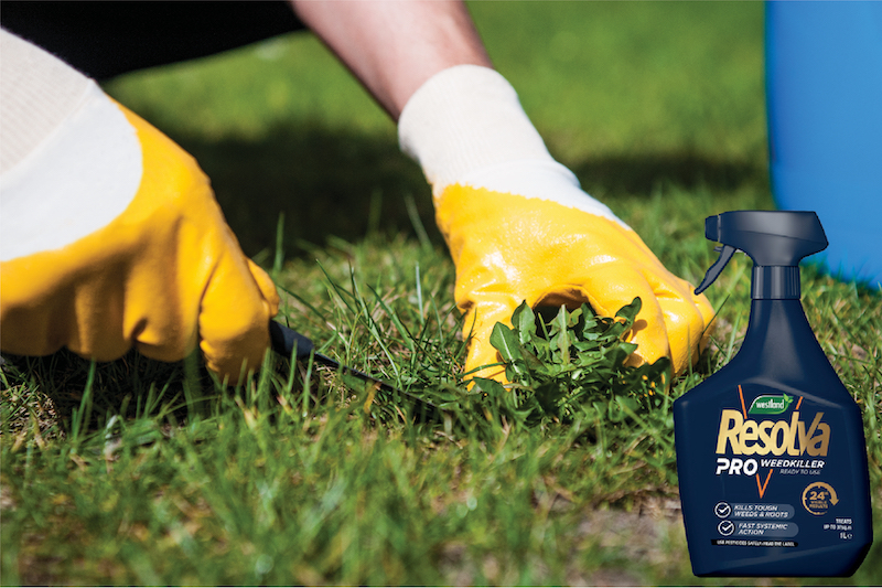 Jobs in the Garden for Summer