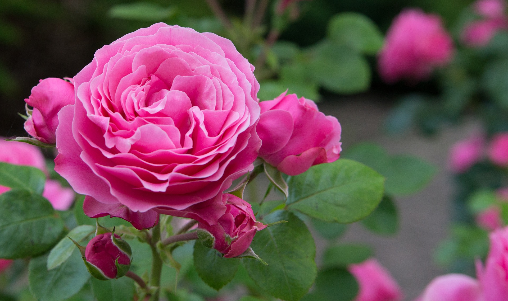 Mother’s Day Gift Guide