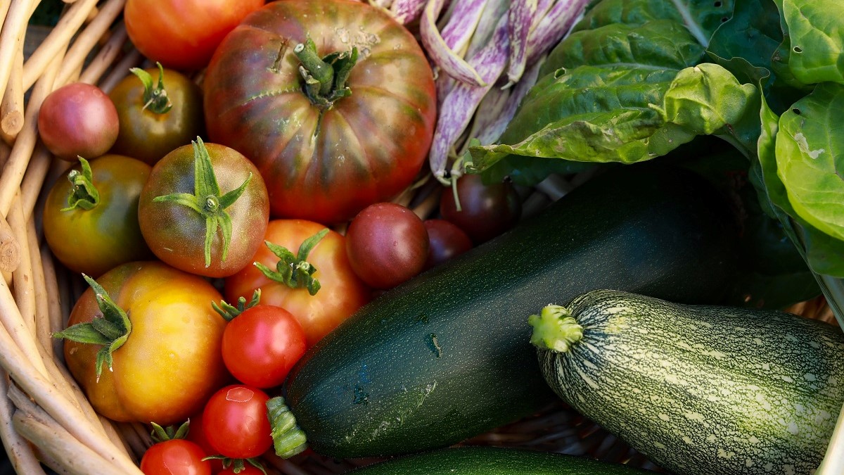 Easy to grow fruit & vegetables!