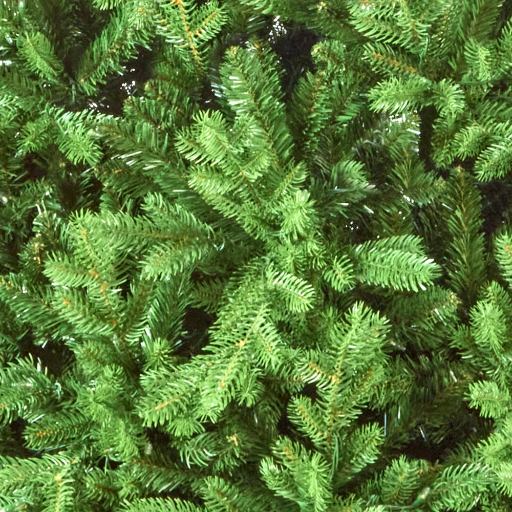 6.5FT Princeton Fraser Fir - National Tree Company | AT103
