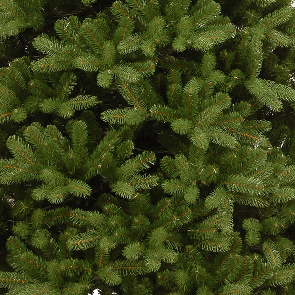 6.5FT Tillbury Spruce - National Tree Company | AT115