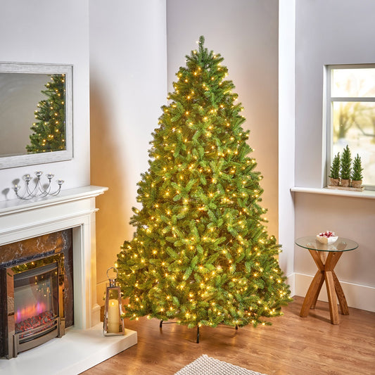 6.5FT Tillbury Spruce Pre-Lit - National Tree Company | AT113