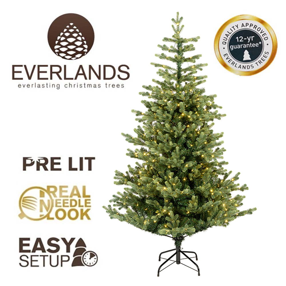 6FT Glen Coe Fir Pre-lit - Kaemingk Everlands Christmas Tree | AT15