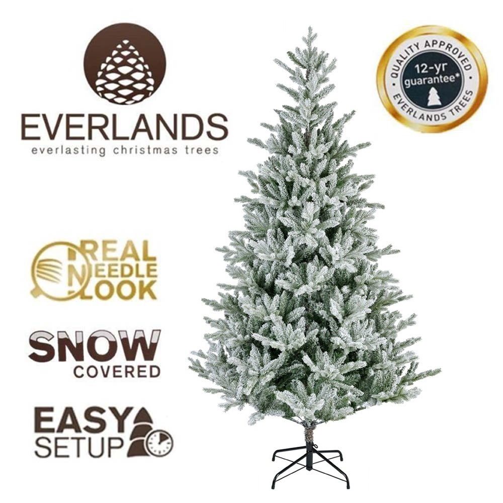 6FT Snowy Glacier Pine - Kaemingk Everlands Christmas Tree | AT44