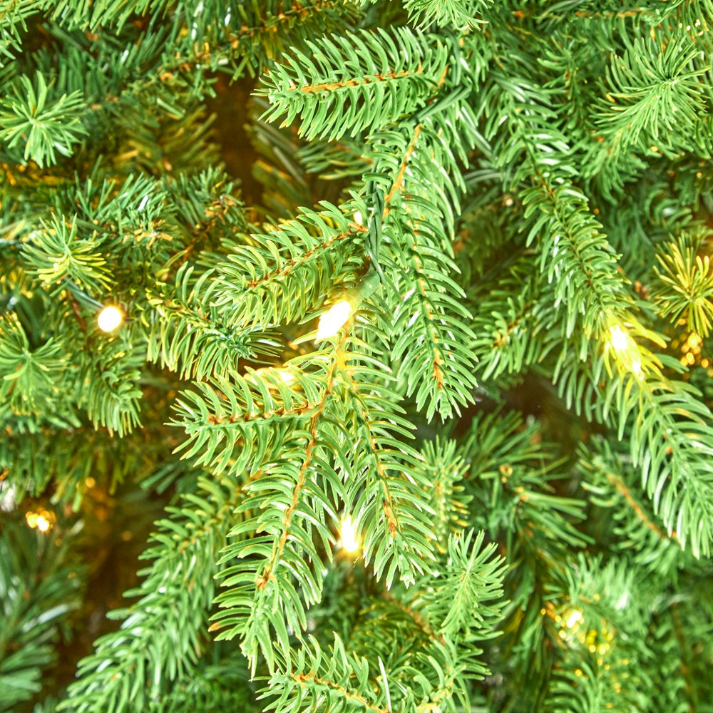 7.5ft Princeton Fraser Fir Pre-Lit National Tree Company | AT102