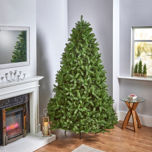 7.5FT Tillbury Spruce - National Tree Company | AT116