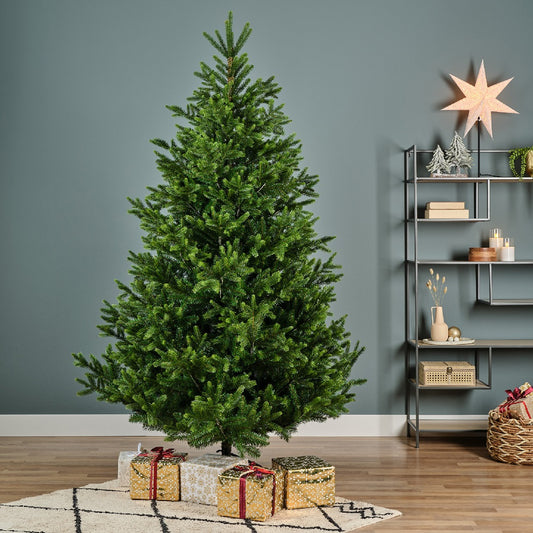 7ft Nordmann Fir - Kaemingk Everlands Christmas Tree | AT24