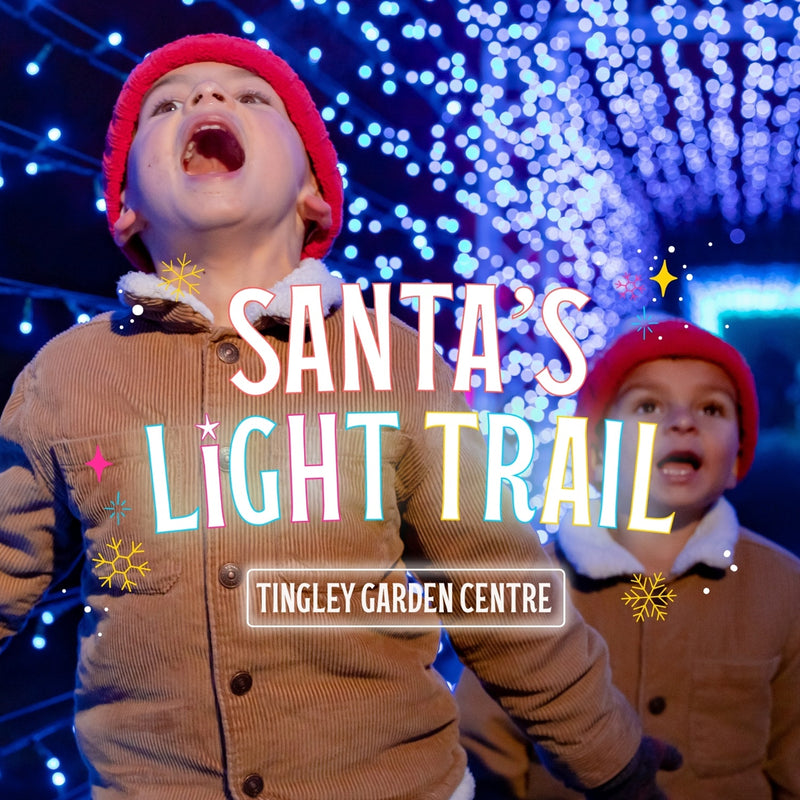 Santa's Light Trail at Tingley Garden Centre