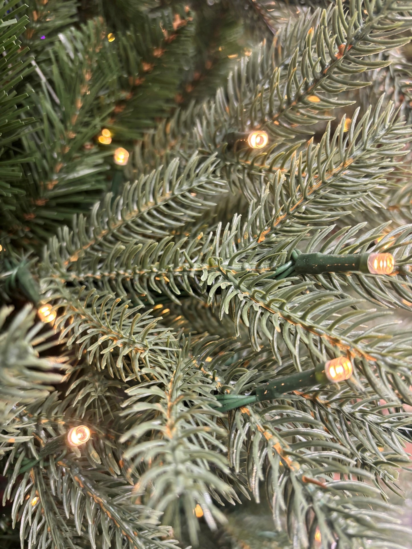 8FT Grandvalaria Fir Pre-Lit - Woodlodge Christmas Tree | AT126