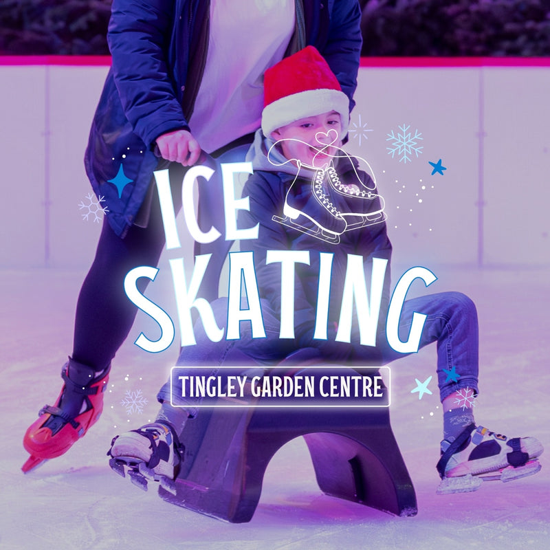 Winter Ice Skating