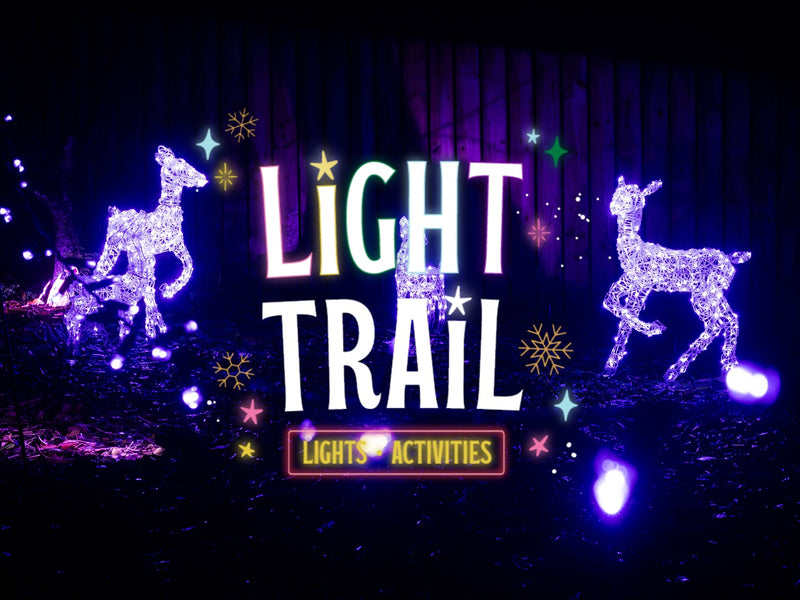 Christmas Light Trail Experience