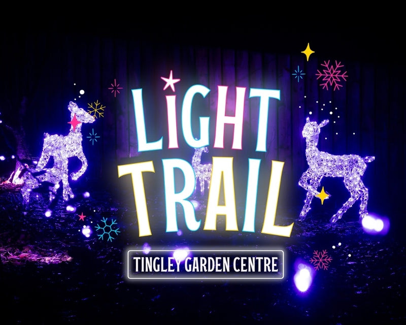 Light Trail Only Experience