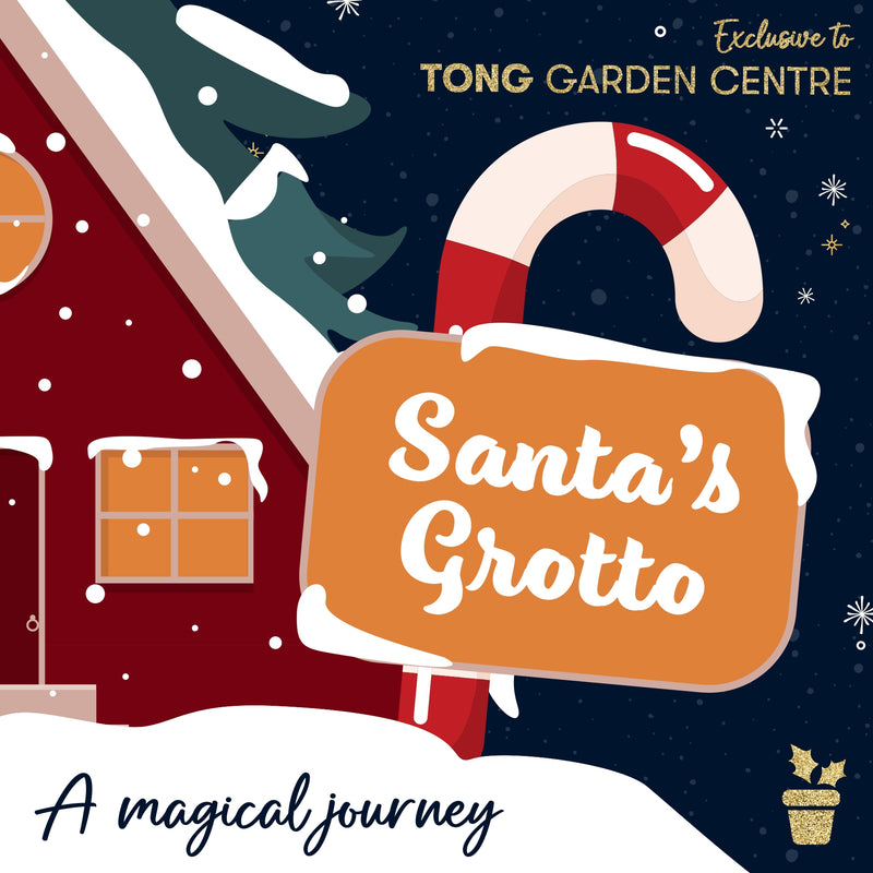 Magical Journey to Santa's Grotto