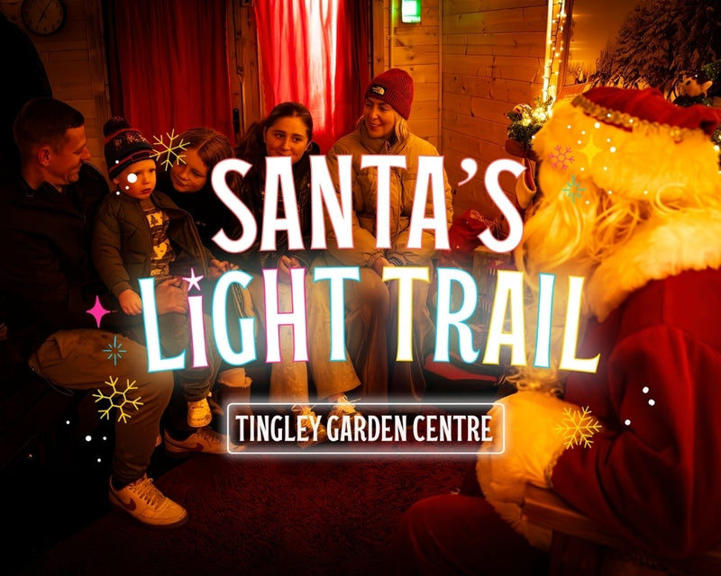 Santa’s Light Trail & Grotto Experience