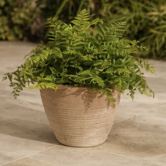 Woodlodge Miami Pot - 29cm