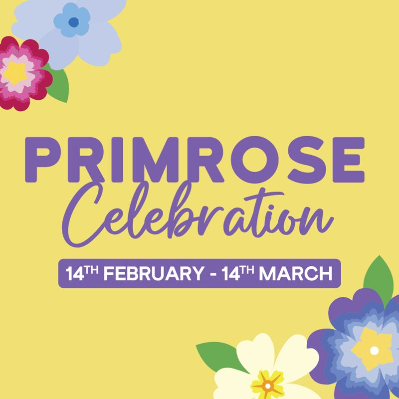 Primrose Celebration