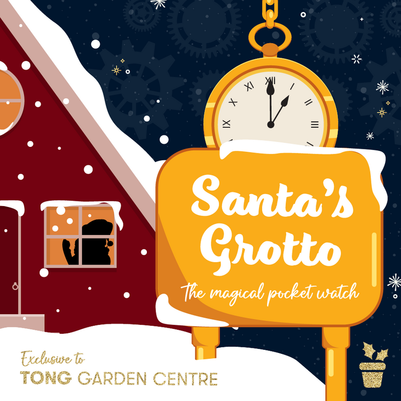 Santa's Grotto - The Magical Pocketwatch