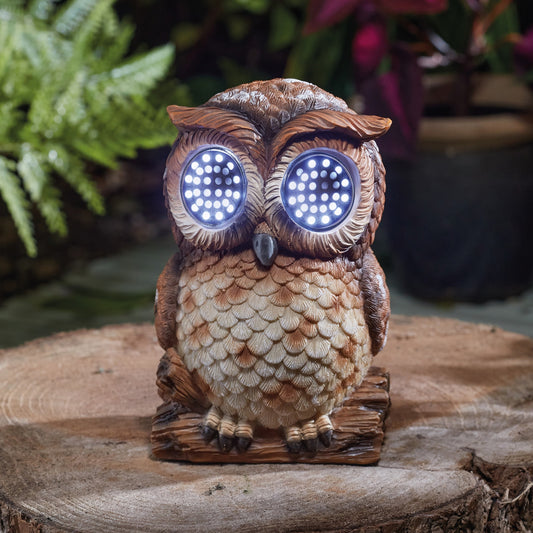 Smart Garden - Blinkin' Owl