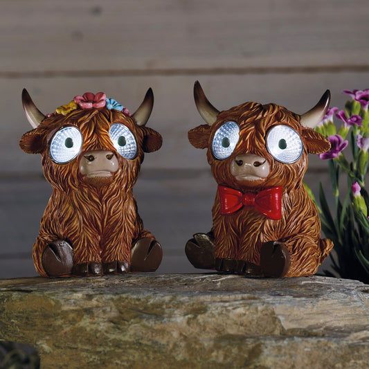 Smart Garden - Bright Eyes Highlanders