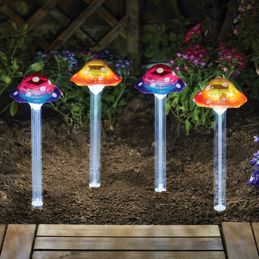 Smart Garden - Funky Fungus - 4 Pack