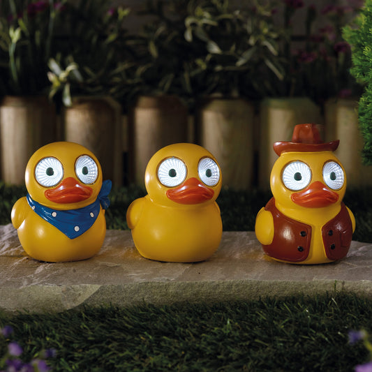Smart Garden - Lucky Ducky