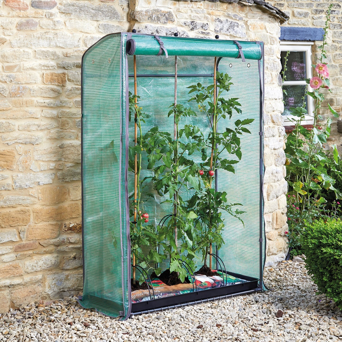 Smart Garden - Tomato GroZone Growhouse