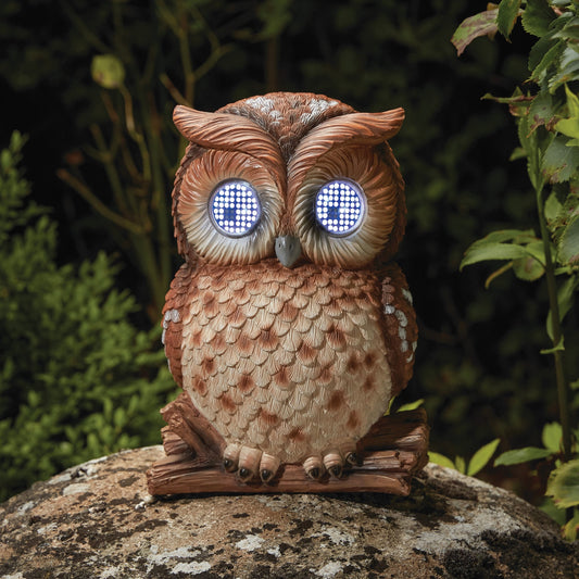 Smart Garden - XL Blinkin' Owl Solar Decór