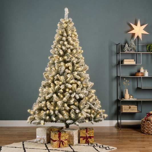 6ft Snowy Kingsley Pine Pre-Lit - Kaemingk Everlands Christmas Tree | AT26