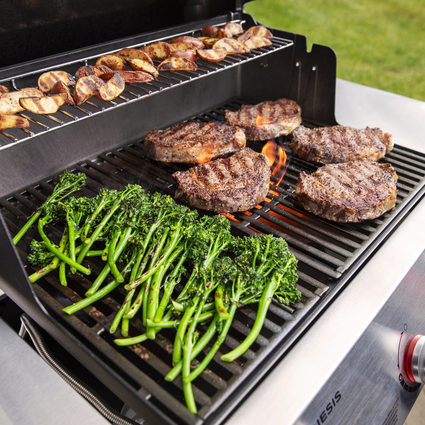 Weber Genesis E-315 BBQ