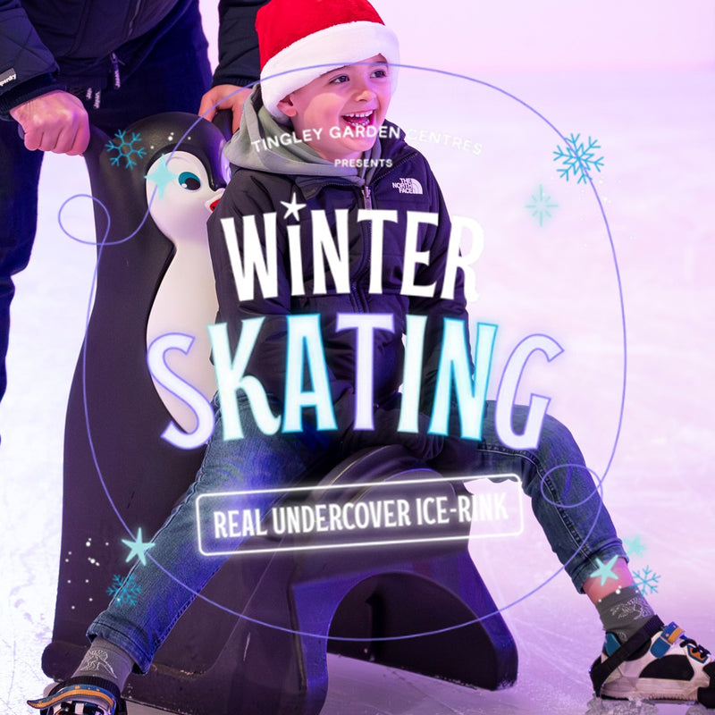 Winter Ice Skating
