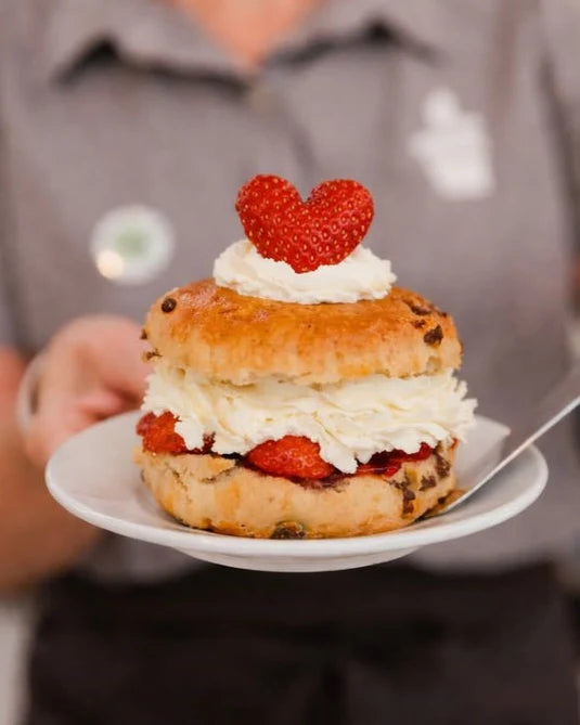 Stack of scones with whipped cream and red jam on a white plate, held by a person wearing a gray shirt.